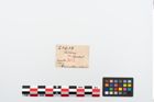 Etikett zu Perlenkette (NHMW-PRAE-024639)